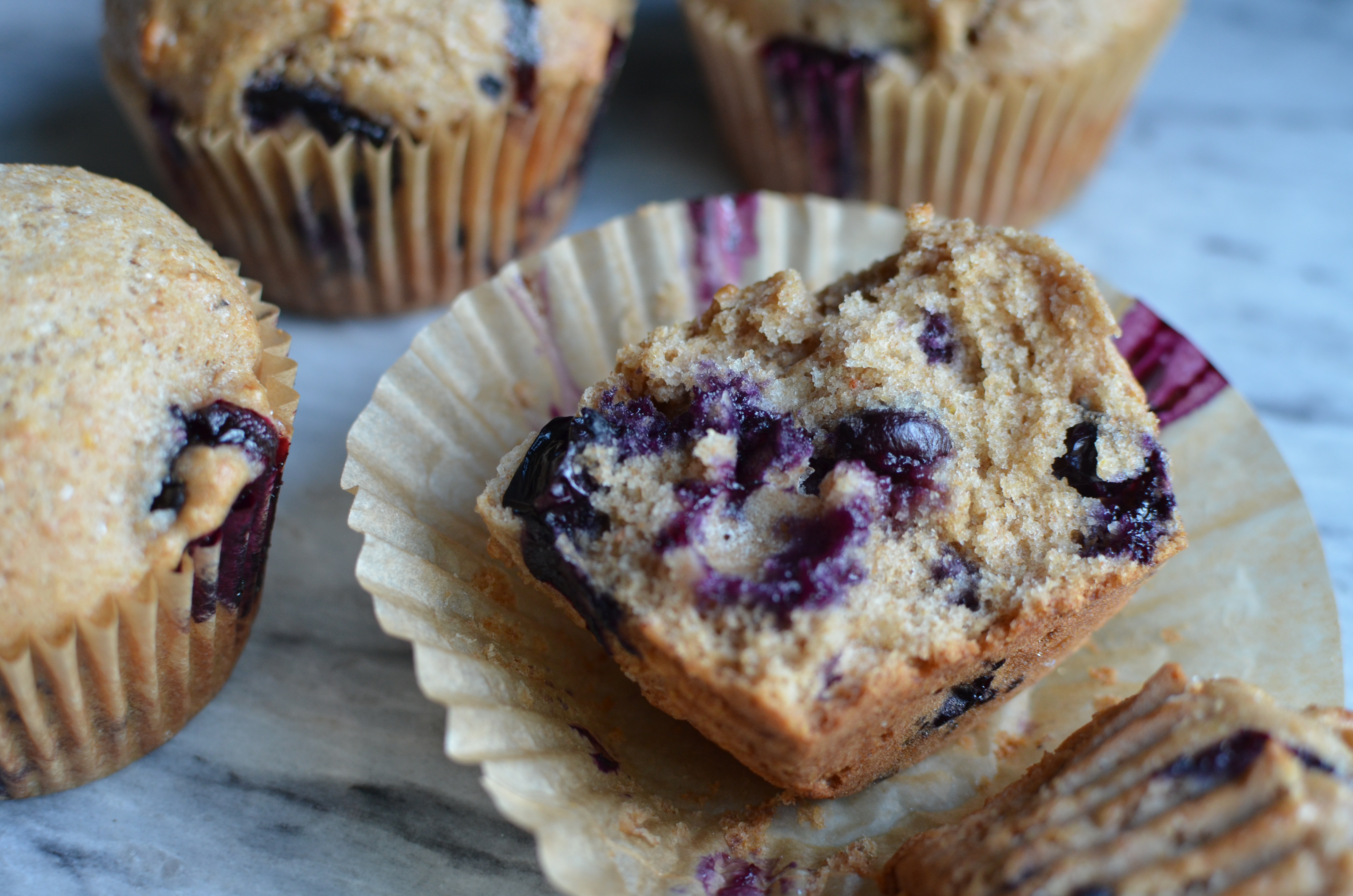 Whole Wheat Blueberry Muffins - The Dachshund Mom